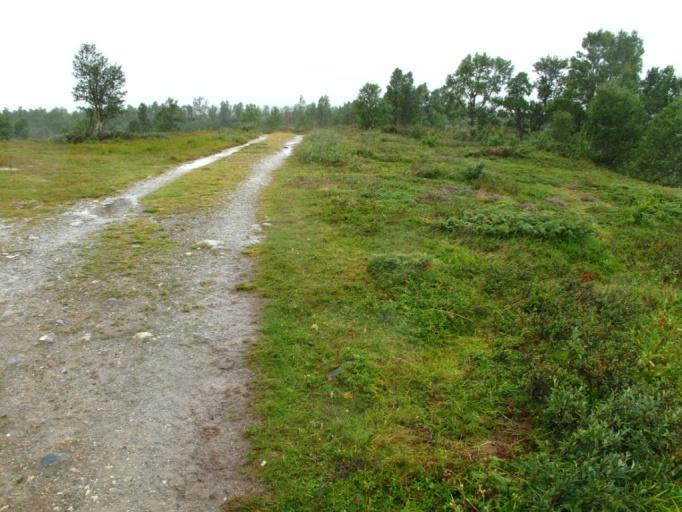 Fra nord i område 2 Rennebu:Jøldalen:Jelsetra (naturtypelokalitet) med overgang til område 3 Jelsetra: nærliggende beiter (viktig beiteområde, se kart over).