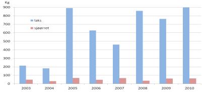 Figur 2. Årlig innrapportert antall og vekt av laks og sjøørret og andelen små-, mellom- og storlaks i Storelva i Dale, Fjaler kommune, i perioden 2003-2010. Kilde Fylkesmannen i Sogn og Fjordane. 4.