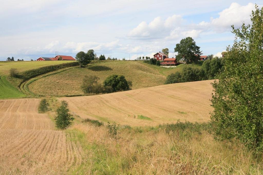 Vegetasjonslinjer Endring Meter/1000 dekar Østfold -14 % 158 Akershus +12 % 129 Vestfold - 5 %