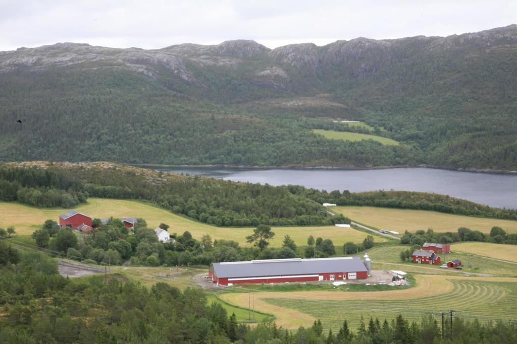 Nye store landbruksbygninger utenfor tun