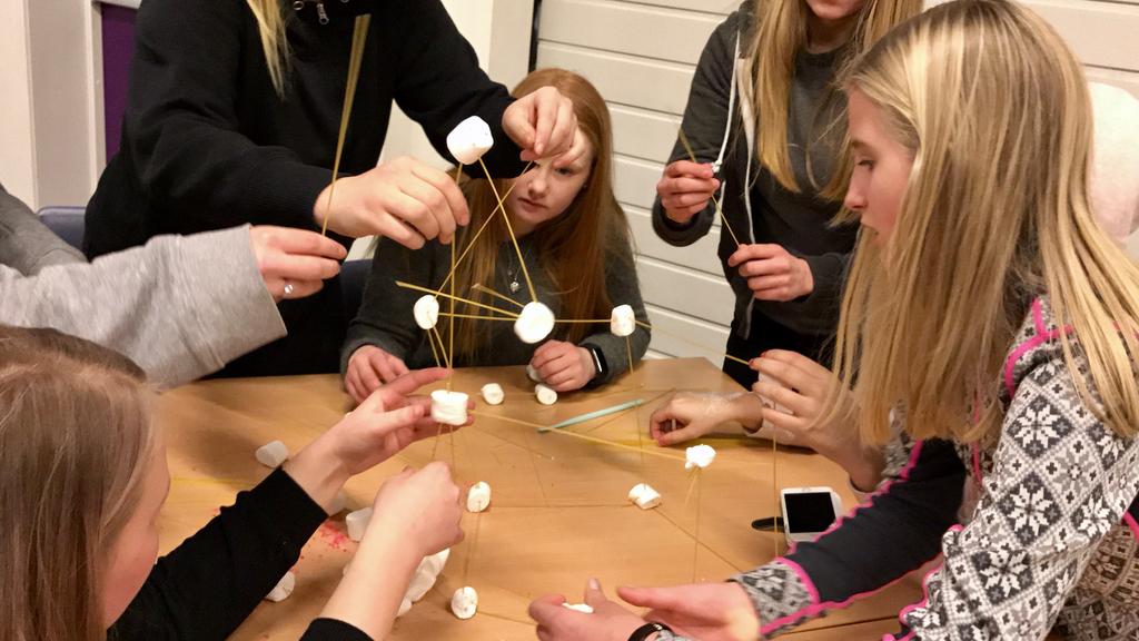 brukte organisering i grupper, og med fremtidens grunnprogram med store grupper i tankene trenger vi også å få økt vår kompetanse i gruppepedagogikk.