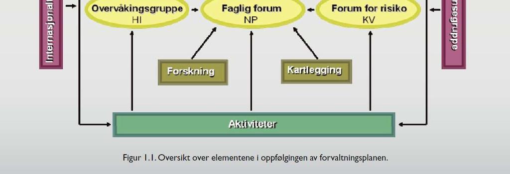 oppdatering av