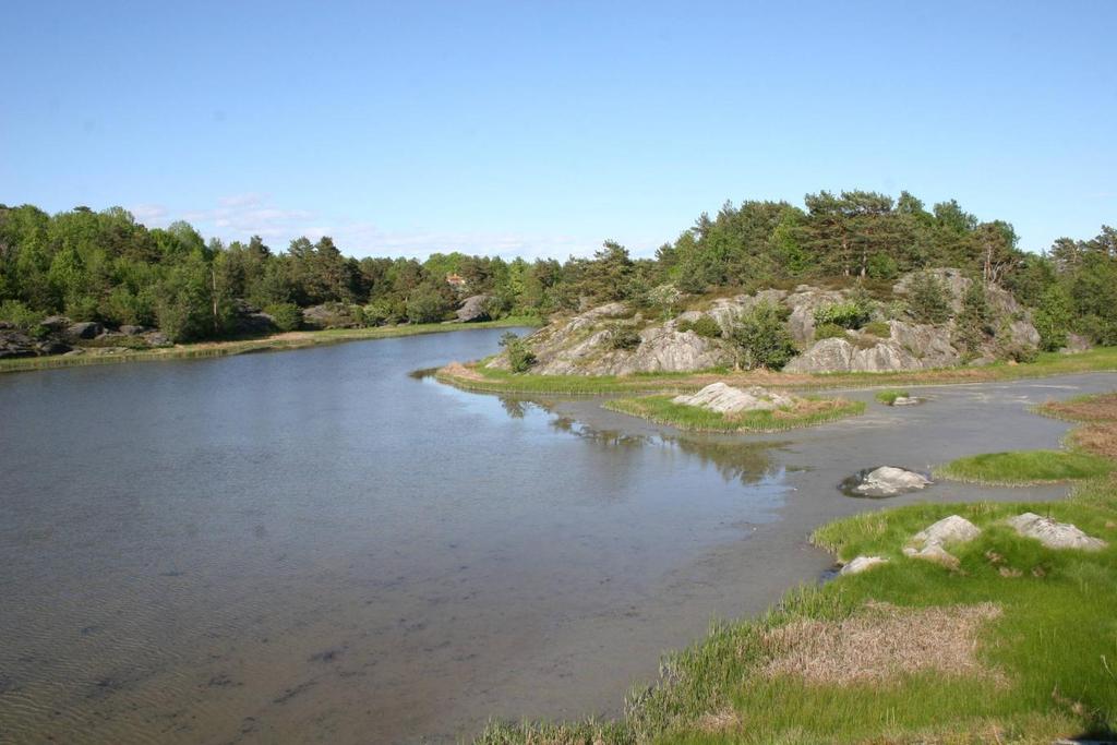 Nyinnvandrede og regionalt utryddede arter er i dag å betrakte som forsvunnet/utdødd som hekkefugl i skjærgården.