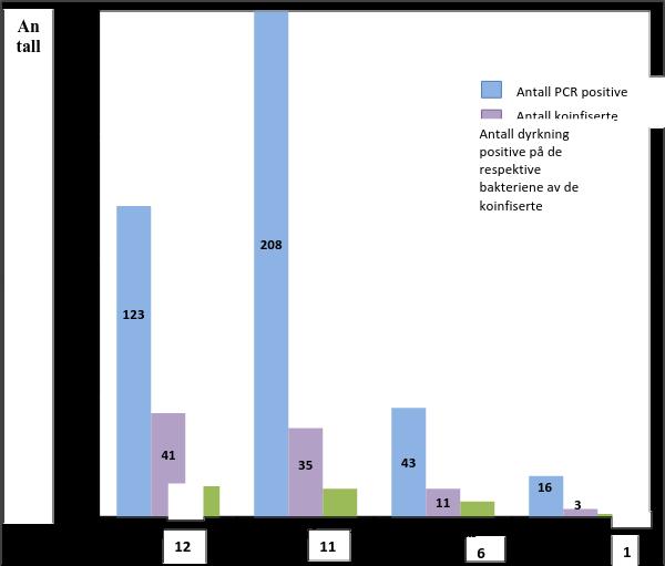 Resultater Gruppen EPEC monoinfisert besto av 82 pasienter og kontrollgruppen besto av 279 pasienter.