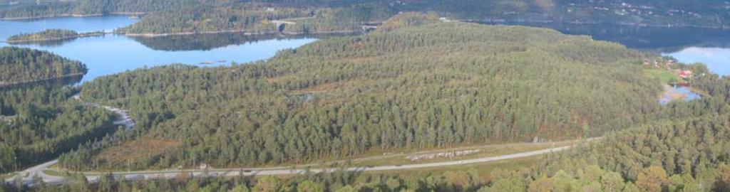 1. EKSISTERENDE SITUASJON/BAKGRUNN FOR PLANFORSLAGET. Skråfoto av Digerneset tatt før den omfattende utbyggingen.