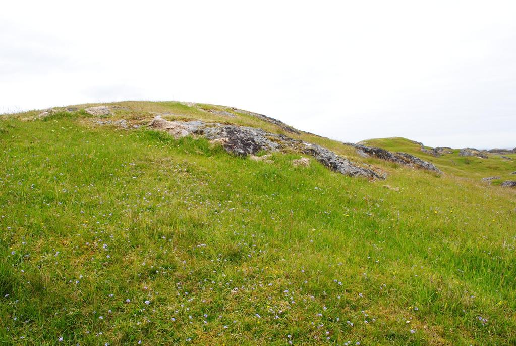 Status i Sogn og Fjordane Naturbase: Naturtype A B C Skjøtselsavtale inngått eller undervegs pr. nov.