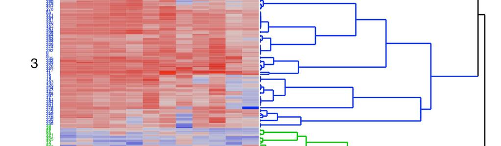 Figur 39. Dendrogram basert på en clusteranalyse av konsentrasjonen av 12 ulike elementer i vannprøver fra 297 innsjøer.