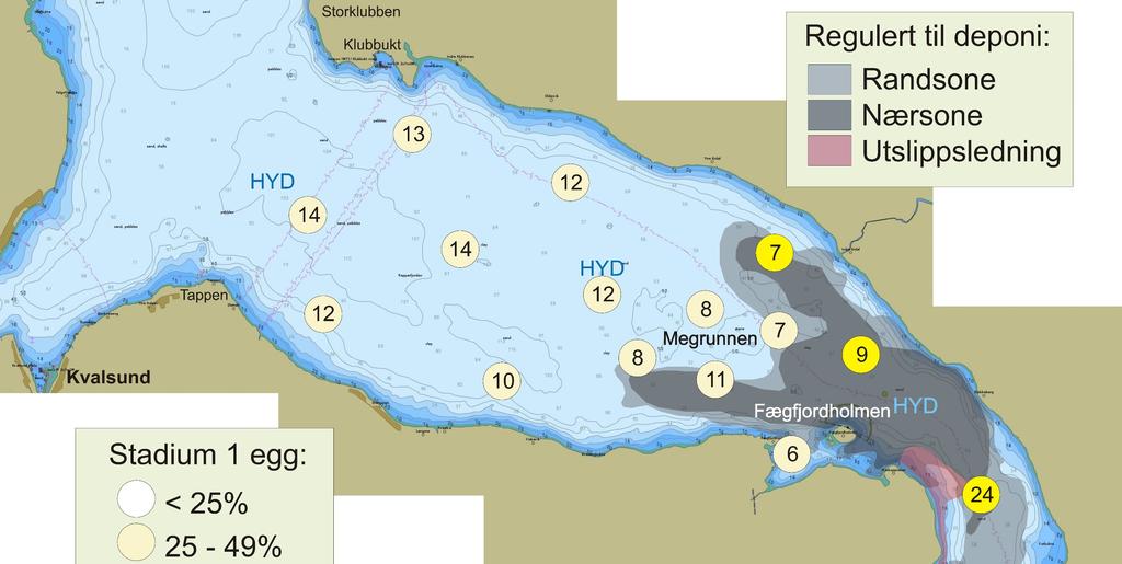 12 Figur 8. Repparfjorden 2016. Eggdata fra tre tokt i perioden april og tidlig mai. Tall i sirkler angir gjennomsnittlig antall egg pr.