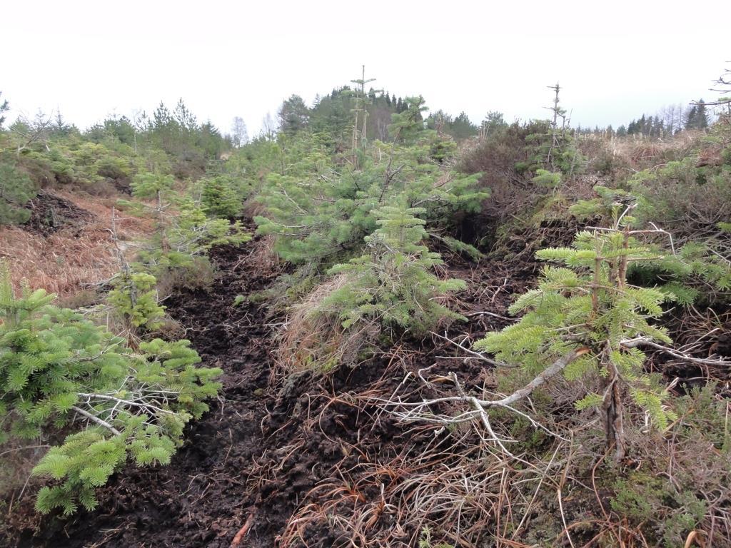 Ein må ta spesielle miljøomsy - Landskapsbiletet - Biologisk mangfald -