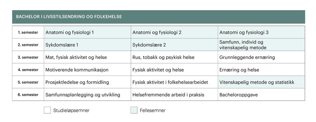 Studiemodellbachelor i livsstilsendring og folkehelse Figur 1. Oppbygging av emner 1.-3. studieår. Grønne emner = fellesemner. Hvite emner = studieløpsemner.