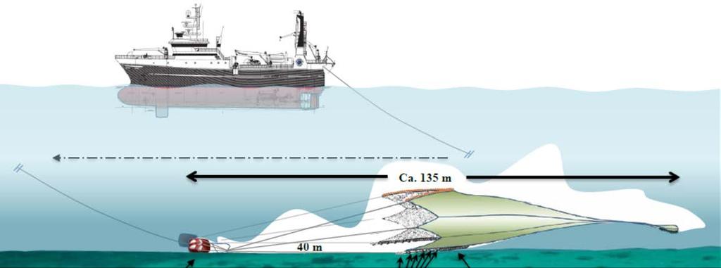 Alle komponenter i et trålkompleks bidrar til motstand (=olje-forbruk) i form av hydrodynamiske krefter og friksjon (bunntrål) Ser vi på en «typisk» kyst-reketrål (1 trål), så vil total slepemostand