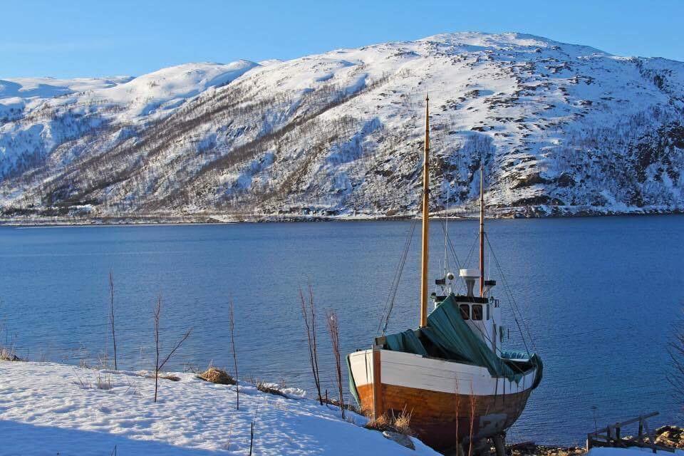 38. Venstre vil ha en miljøvennlig bergverksindustri Bergverksindustrien har lange tradisjoner i fylket, og Finnmark er rik på mineraler.