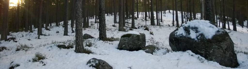 Åmli kommune AUST-AGDER