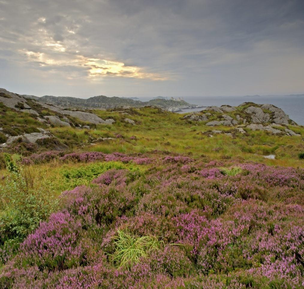 Utvalgte naturtyper NML kap VI 52-56 Regime for bærekraftig bruk I VA: Slåttemark, stor hul eik, snart kystlynghei Kommuner og sektorer skal vekte naturmangfoldet