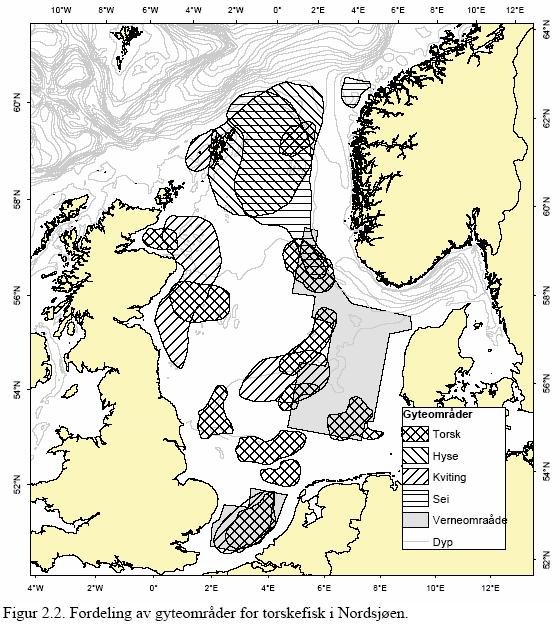 Retningslinje for bruk av dispergeringsmidler som beredskapstiltak Figur 3.6 Fordeling av gyteområder for noen viktige fiskearter i Nordsjøen. (Havforskningsinstituttet, 2007) Tabell 3.