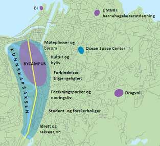 På NTNU er over 80 % av studentene fra andre deler av Norge eller fra utlandet. På HiST er ca. 60 % av studentene innflyttere.