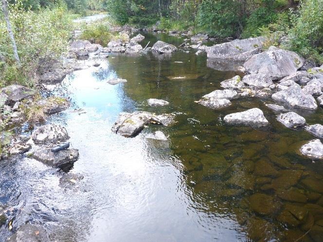 Hovedutfordringen på denne strekningen er at det sparsomme vannet renner bredt og blir borte mellom steinene. Figur 3. Stasjon 1 til venstre og stasjon 2 til høyre.