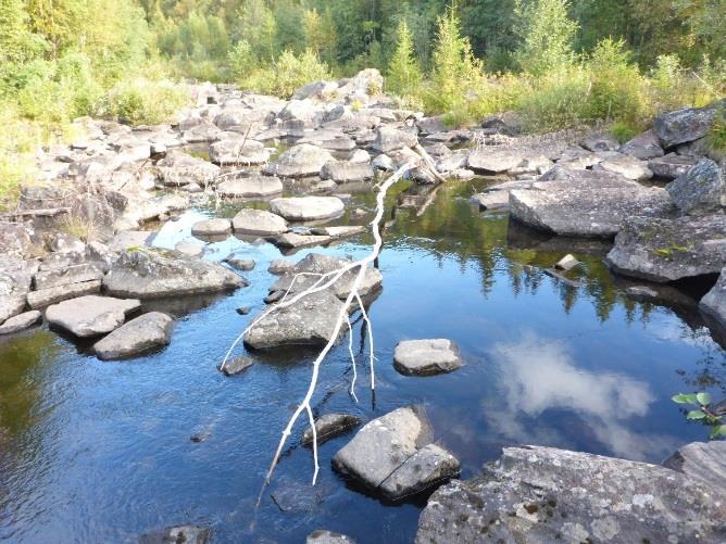 I realiteten er vannføringen ofte høyere (se simulert vannføring i figur 5). Vannføringen på undersøkelsestidspunktet var «middels-lav» og sikten svært god.