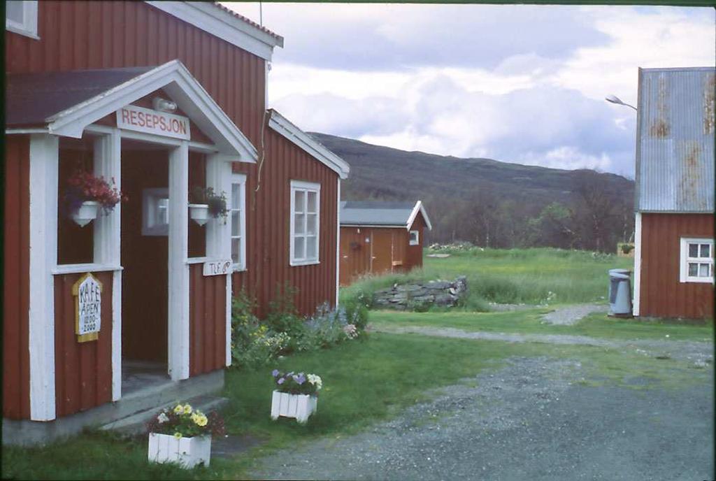 utbyggingsområde i bakgrunnen. Foto: Dordi Kjersti Mogstad, Planteforsk Tjøtta fagsenter. Figur 4.9.