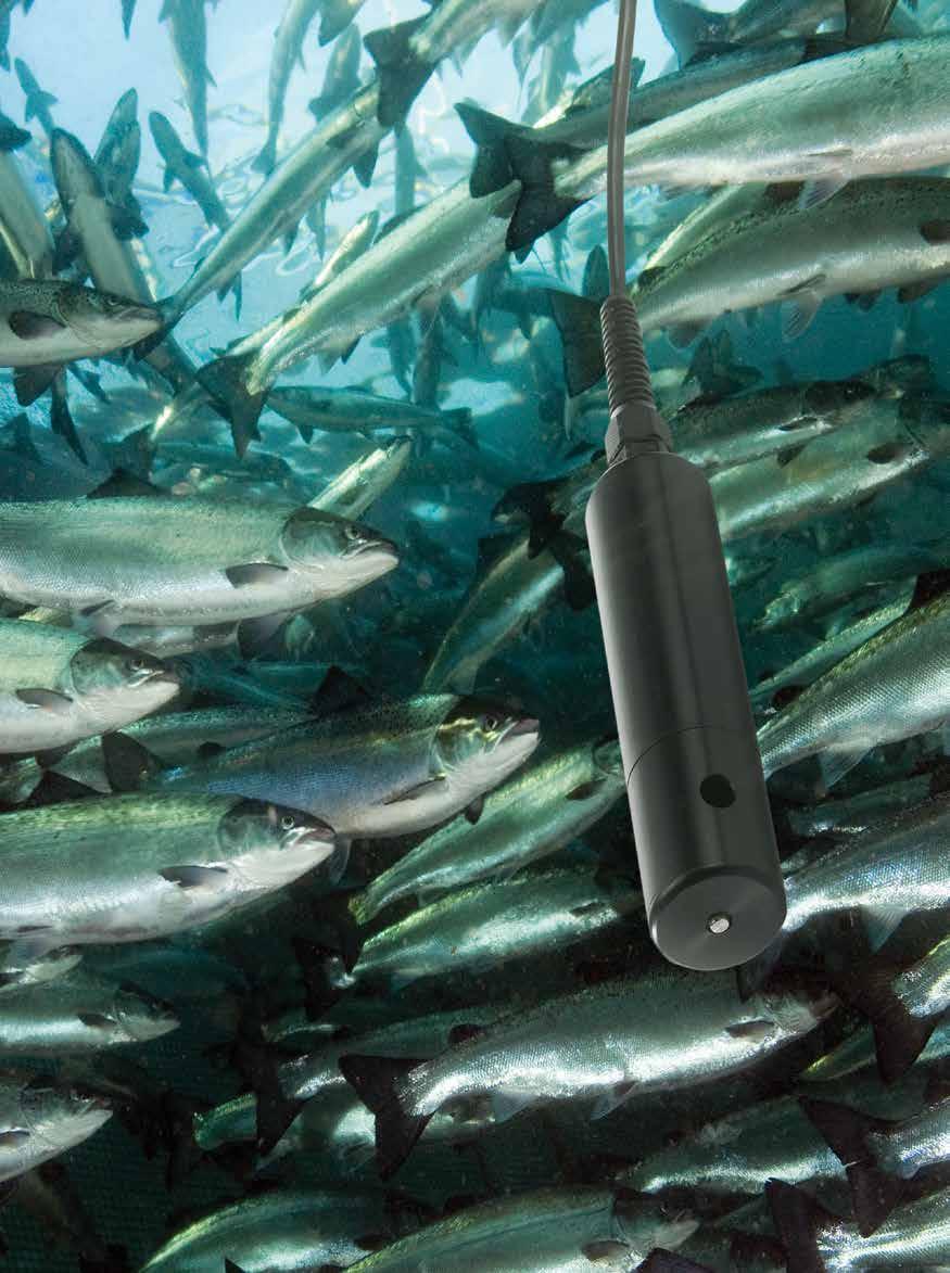 Miljøsensorikk Miljødata - et parameter av kritisk betydning ved fôring av fisk SENSORER Full kontroll