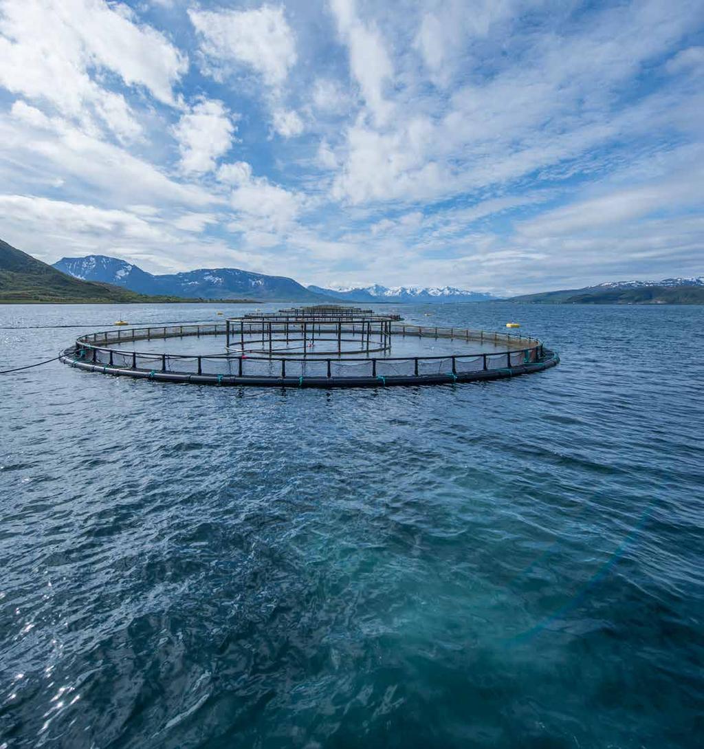 Merdbasert akvakultur Spennende, innovative løsninger AKVA group tilbyr et vidt spekter av teknologi for merdbasert oppdrett; fra enkle komponenter til skreddersydde