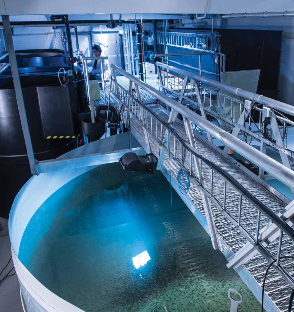 Land Based Aquaculture Slik skapes et nytt anlegg De mest optimale løsningene Water treatment For bare noen få år siden var det vanskelig å forestille seg en leverandør av komplette landbaserte