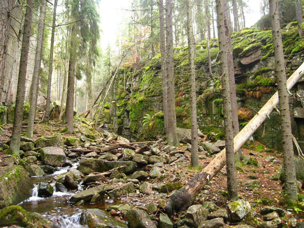 Bilder fra området Kjøsterudjuvet Granskogen i kløfta er ensjiktet og med begrenset