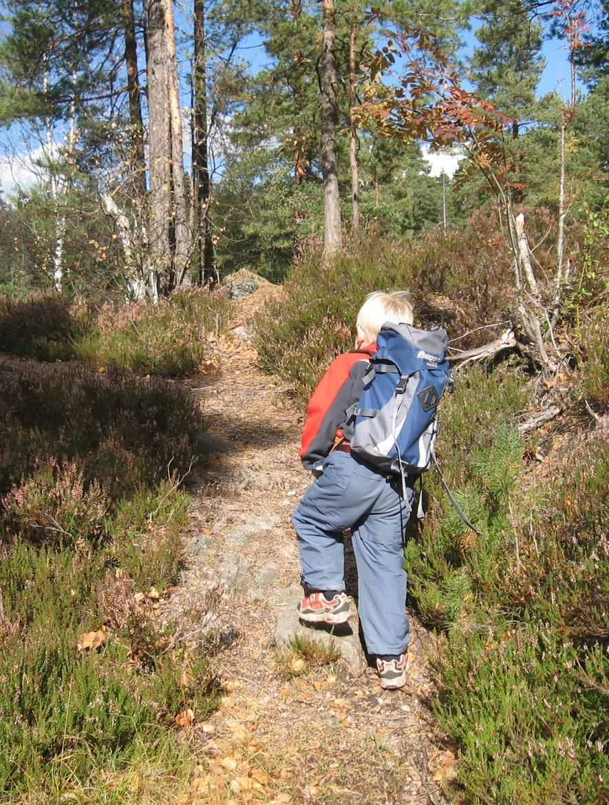 Forslag til framgangsmåte - verdsetting Sorter på områdetype Vurdere hva det er lite/ mye av hver områdetype og om det gir et riktig bilde Gå gjennom en områdetype om gangen Hvilke kriterier ansees