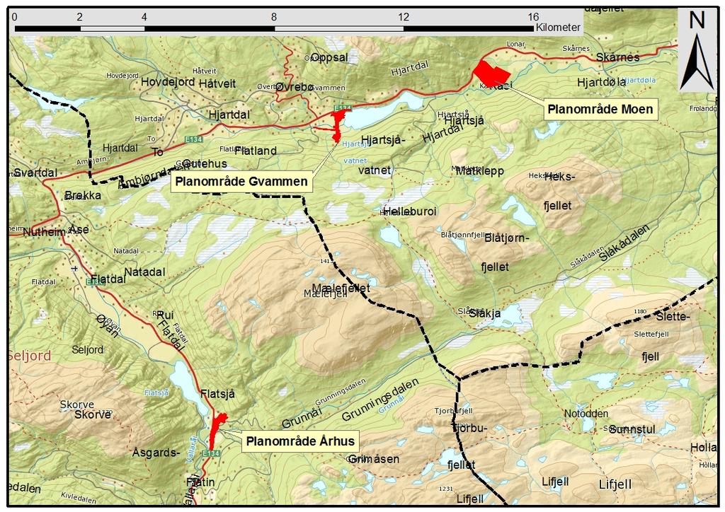 Områdene Planområdene ligger på tre forskjellige steder langs med E 134 i kommunene Hjartdal og Seljord.