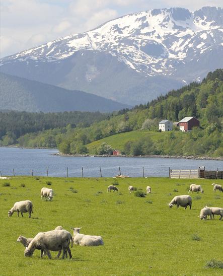 I dag løyser Møre og Romsdal fylkeskommune oppgåver