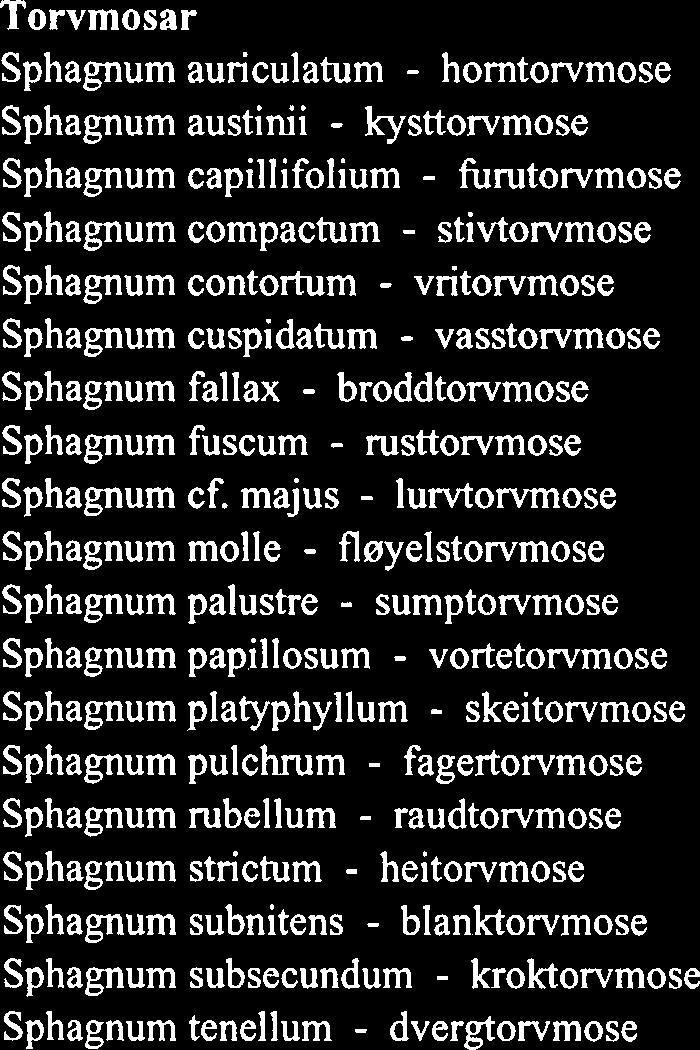 Festuca vivipara geitsvingel Juncus articulatus ryllsiv Juncus conglomeratus knappsiv Juncus