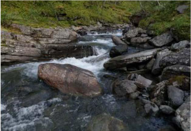 6 Verdivurdering 6. 1 Viessogas-overføringen Vi har ikke gjennomført befaringer eller undersøkelser i Viessogasjohka eller innsjøene som elva drenerer.