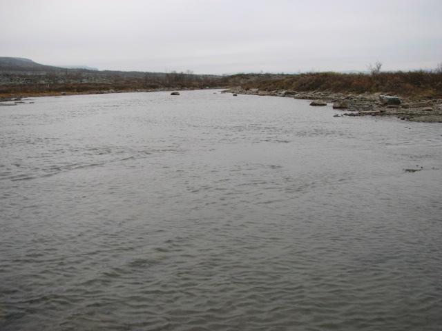 Bildet til høyre viser et typisk kulpområde i elva, der elvebunnen er dominert av sand/slam (lys sandbunn kan ses i forkant av bildet).