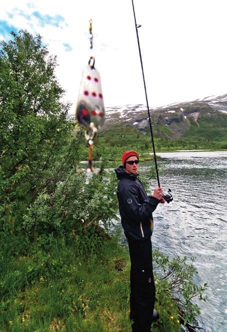 En del av fjell mas si vet er også inn lemm e t i R e i n h e i m e n n a s j o n a l p a r k, m e n s andre om rå der er så kal te land skapsv e r no m r å d e r.