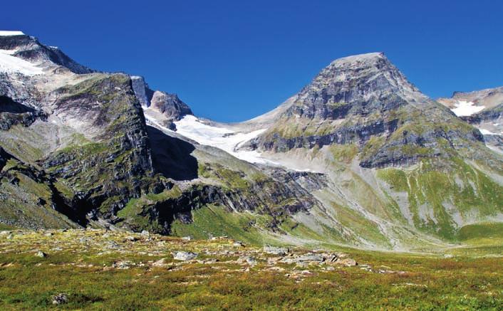 Tresfjord her er re la t ivt stor. Fra de uli ke par ke rings plas se ne og opp er det stort sett li r y pa som do m i ne rer.