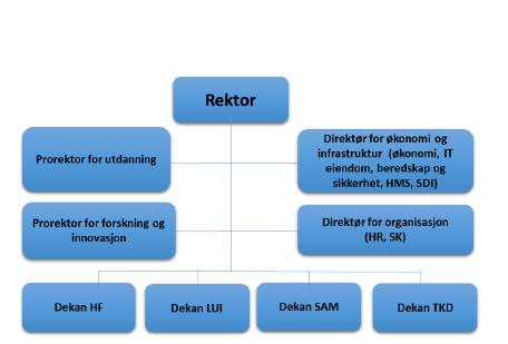 De to modellene, som begge er knyttet til enhetlig ledelse, er hentet fra høgskoledirektørens Tillegg til høringsbrev. De er «to ulike modeller som skiller seg noe fra NTNUs modell».