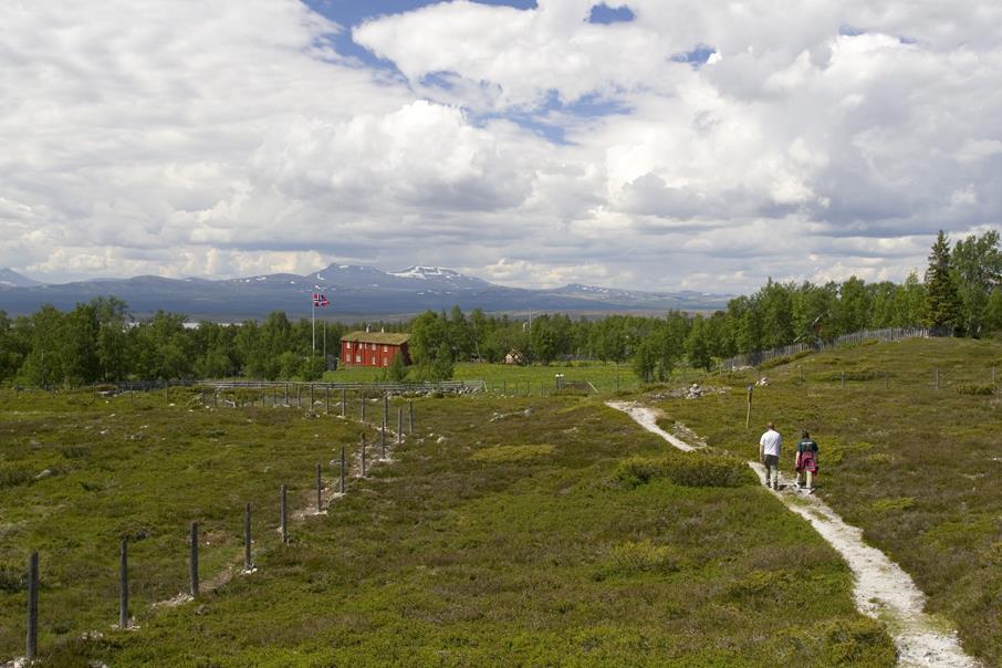 Stor variasjon i tilbud, fra koie