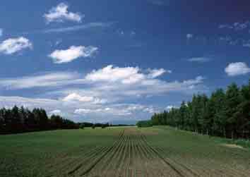 følsomhet) (Mykt snapshot) Setter deg i stand til å ta bilder uten blits i svakt lys, med