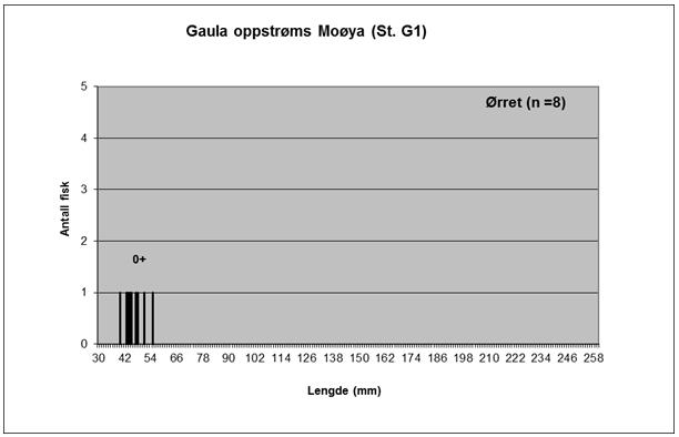 Figur 10. Antall, antatt aldersgrupper og lengdefordeling i datamaterialet på ungfisk av laks fra Gaula på stasjon G1 oppstrøms Moøya og Norsk Kylling sine utslipp.