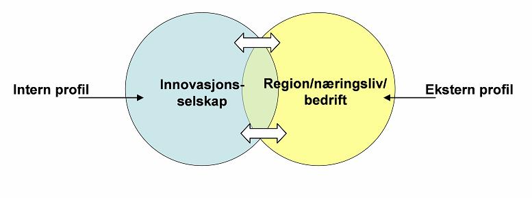 Utfordringer for innovasjonsselskapene i Nordland Med regional profil menes hvilken rolle de har i det regionale innovasjonssystemet, og hvordan de oppfattes av bedrifter, offentlige aktører og