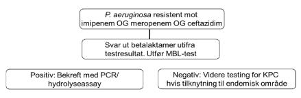 FENOTYPISKE METODER: NOEN NB er!