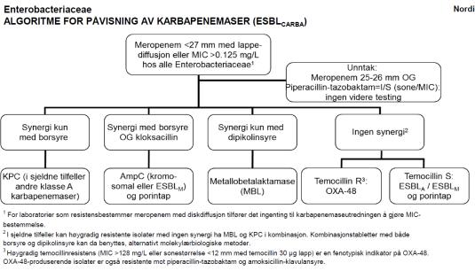 cefalosporiner (Cefepime) - Cephamyciner (Cefoxitin, Cefotetan) - Monobaktamer (Aztreonam) - - Karbapenemer (Meropenem, Imipenem, Ertapenem) β-laktamase inhibitorer ESBL CARBA-A ESBL CARBA-B ESBL