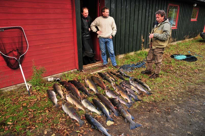 vassdrag i Hordaland. Undersøkelser i 2008 og 2009.