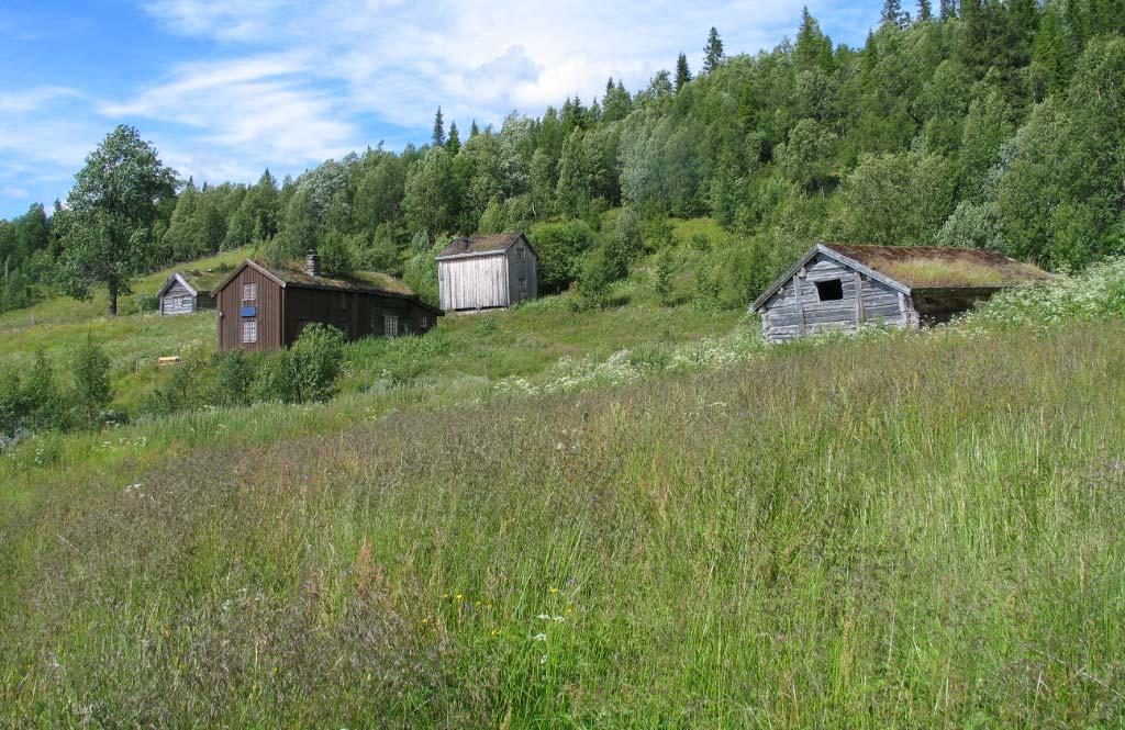 Hovedbygningen og den vinkelbygde driftsbygning danner et firkanttun.