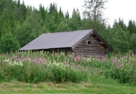 I dag er det knapt noe flistak tilbake i bygda. Endringen er klassifisert som endringstype C.