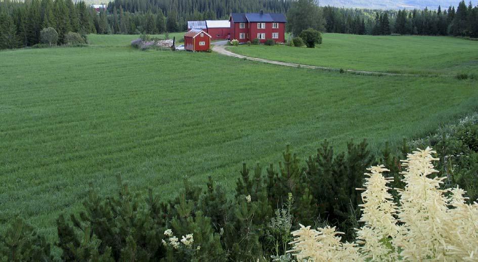 6 KONSEKVENSER OG TENDENSER Gårdsturisme som tar i bruk ledig bygningsmasse i gårdstuna er en ny trend.