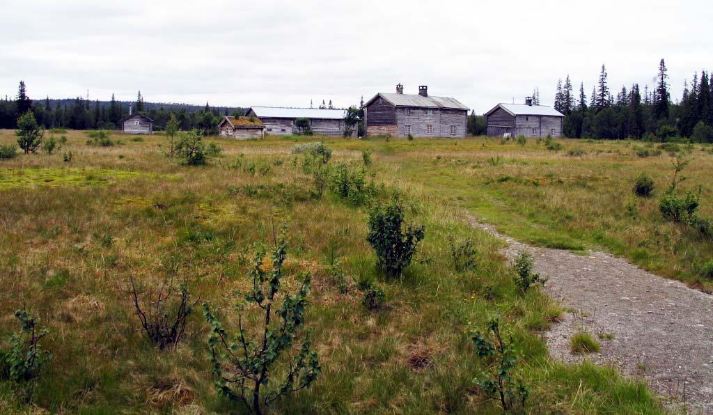 7 SAKSBEHANDLING PLANFORHOLD M.M. fjellgård med nærmeste omgivelser og Snåsa sentrum, med område som omfatter både Viosen tettsted, stasjonsstedet og Vinje prestegård/kirke.