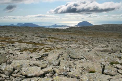 Sweco Norge AS inngår i dette delområdet. Landskapskarakteren formes i vesentlig grad av møtet mellom markert dalutforming og tekniske kommunikasjonsanlegg.