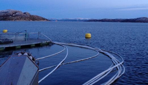 Spesialutviklet varmtvannsvasker tilpasset krevende marint og korrosivt miljø - helt uten bruk av kjemikalier NEPTUNE 7-72 DE HITRA er hjertet i denne første spesialutviklede høytrykksvaskeløsningen