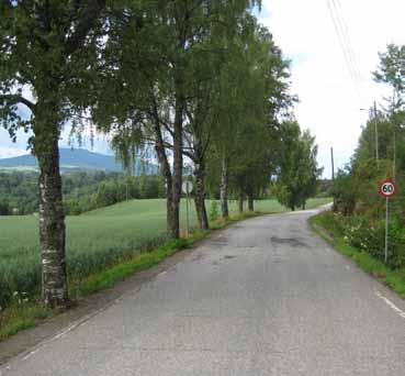 5 Fv. 53 Finstadvegen, Bårlidalsgrenda Veginfo: Asfaltdekke med hvitstripe. 6 km/t. ÅDT 15. Vegbredde: 5,5 m. Allélengde: 15 m. Ensidig trerekke, plantet. Treslag/antall: Bjørk Betula sp.